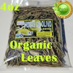 Hojas de Olivo, Antioxidante Natural  